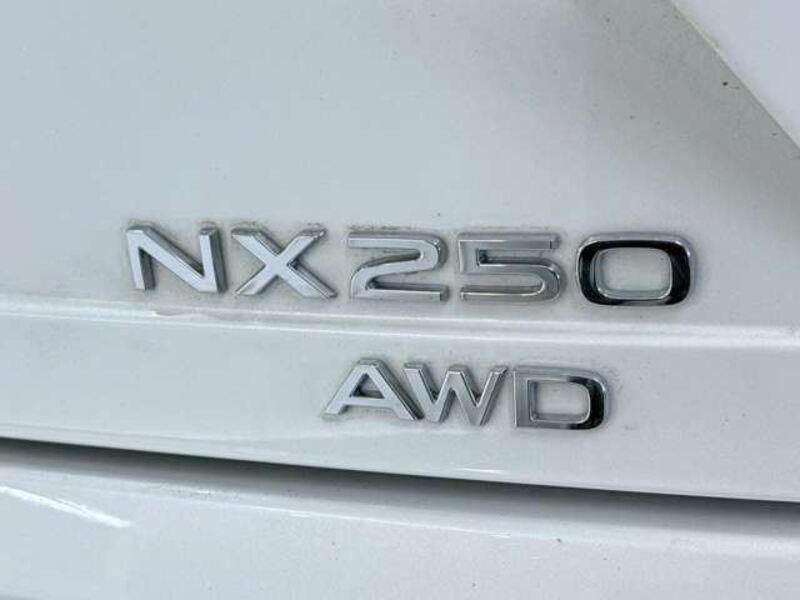 NX
