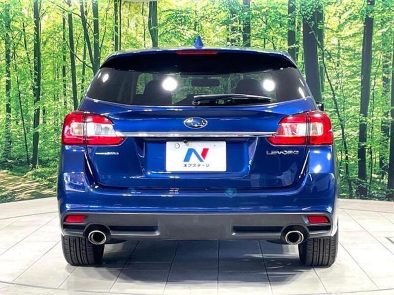 LEVORG