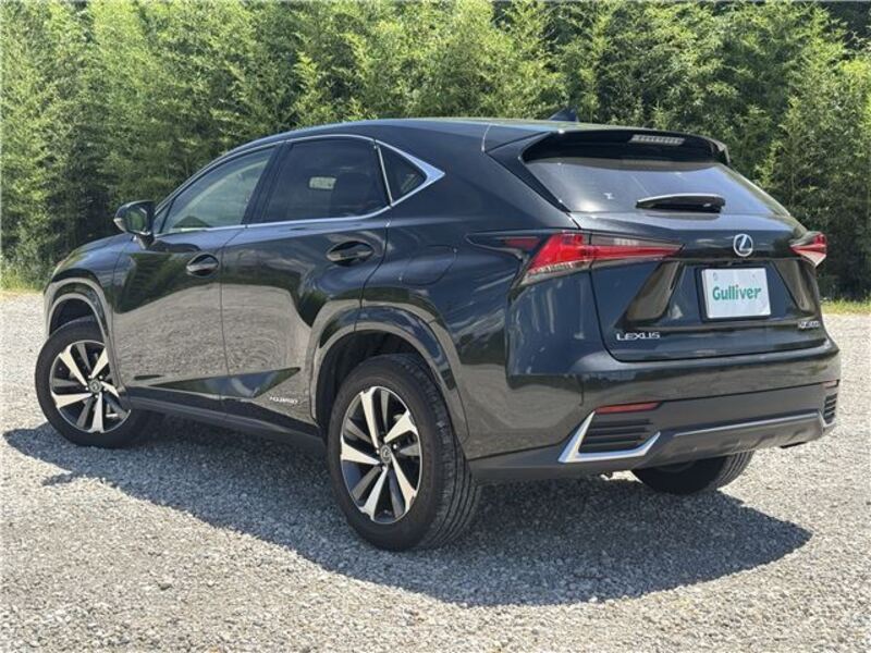 NX