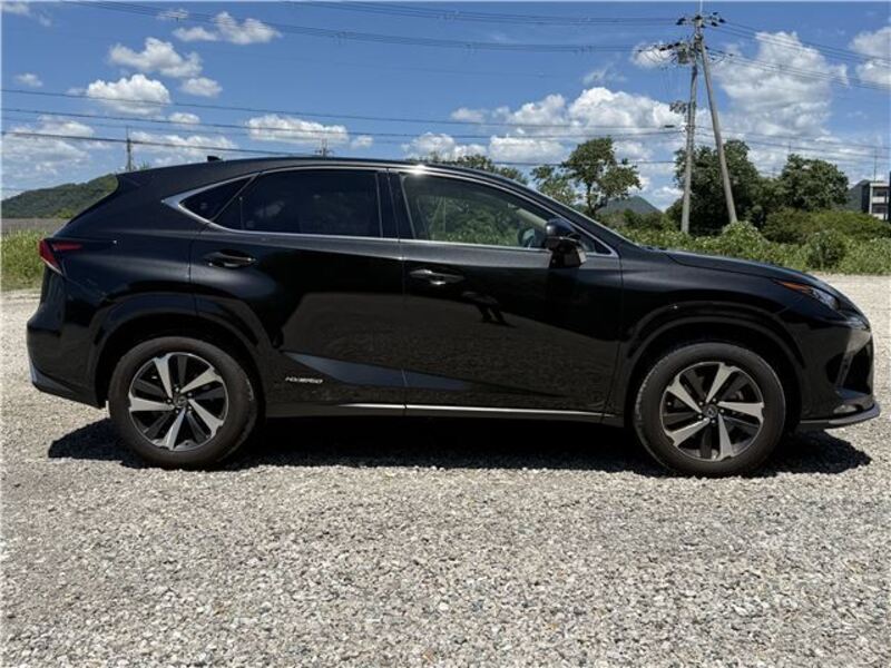 NX