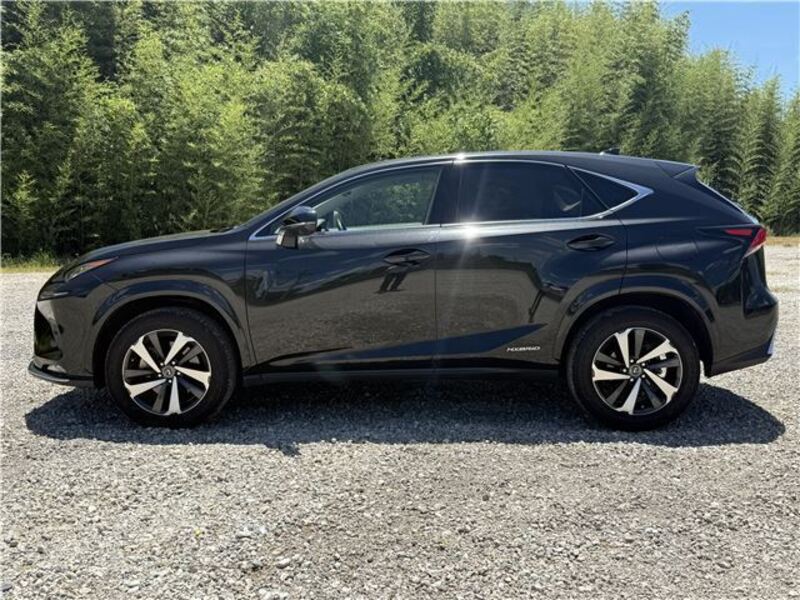 NX