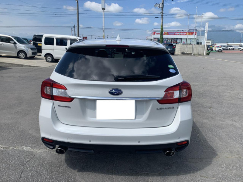 LEVORG