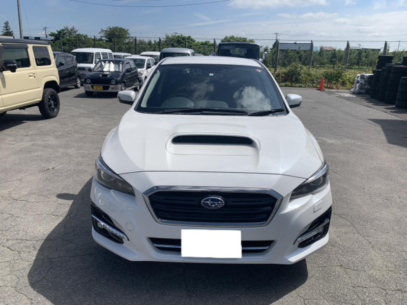 LEVORG