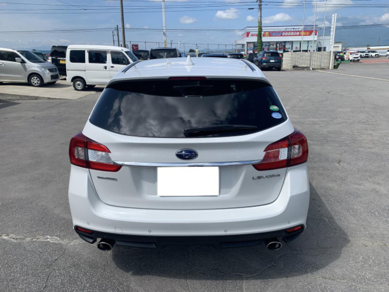 LEVORG
