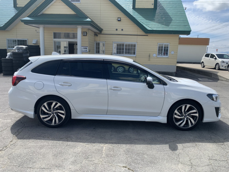 LEVORG
