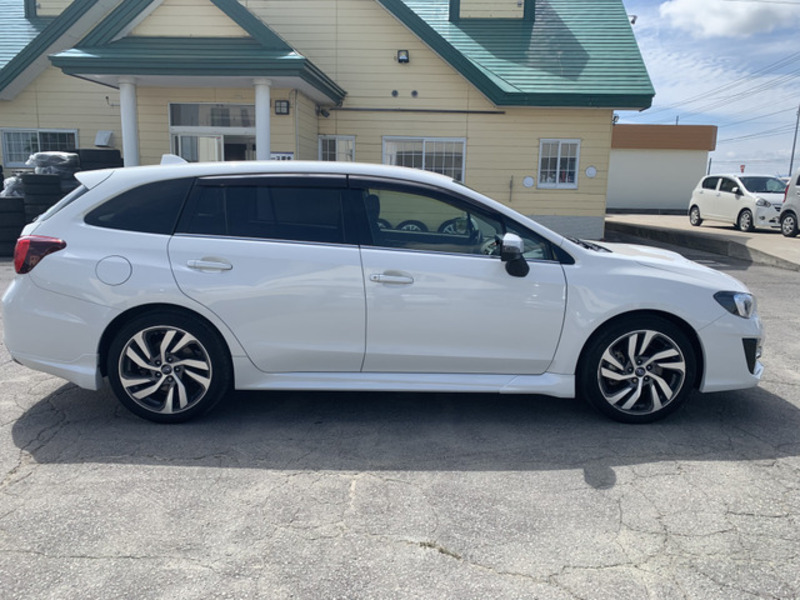 LEVORG