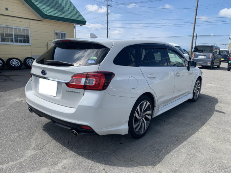 LEVORG