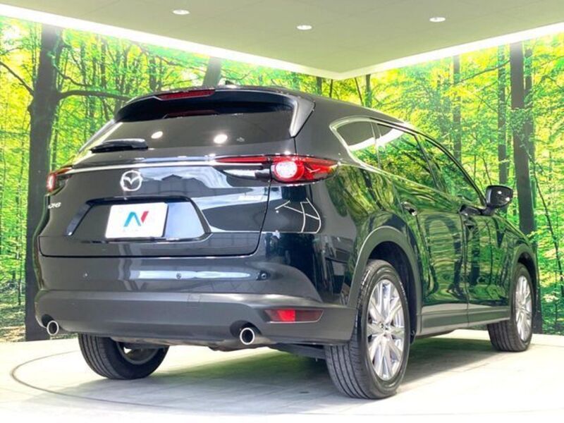 CX-8
