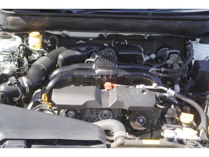 LEGACY B4