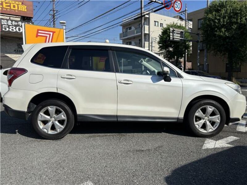 FORESTER