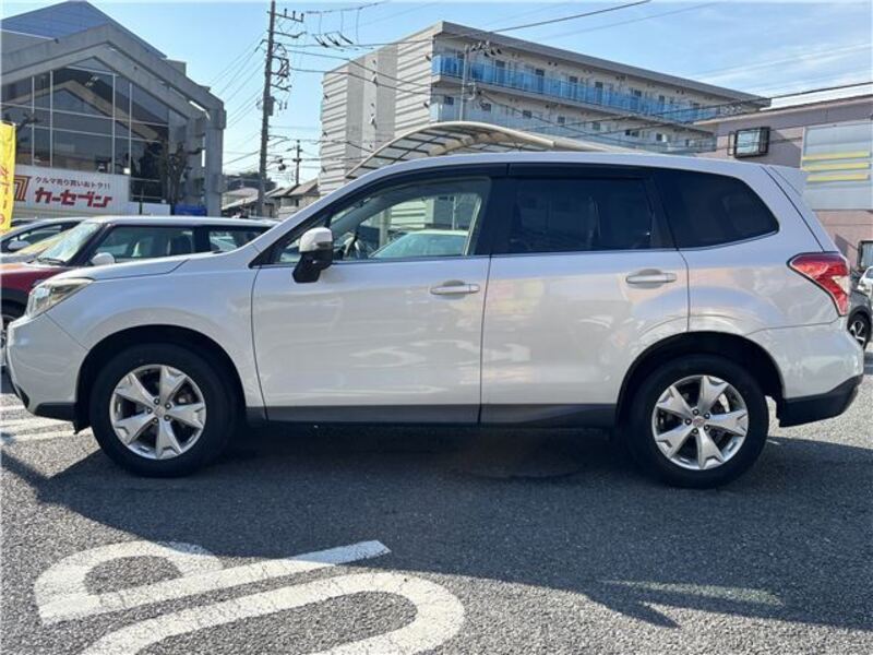 FORESTER