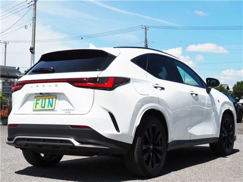 NX