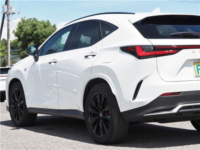 NX