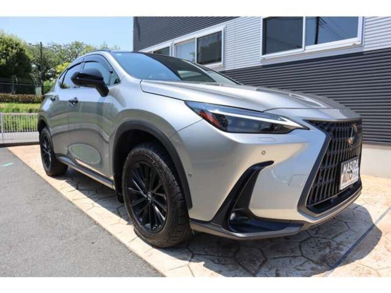 NX