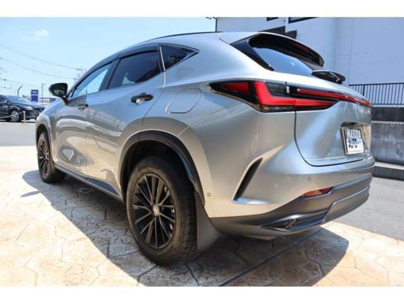 NX