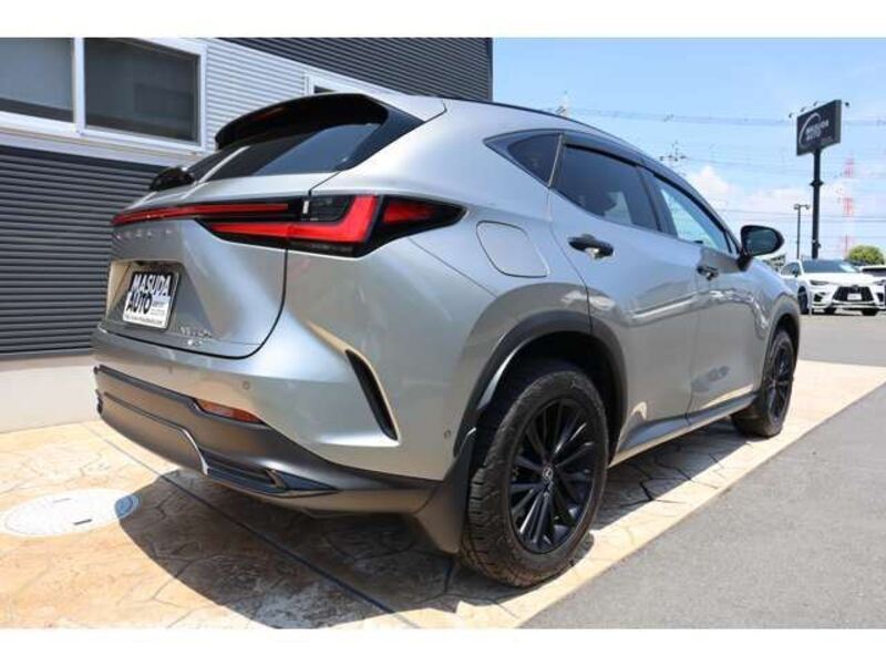 NX