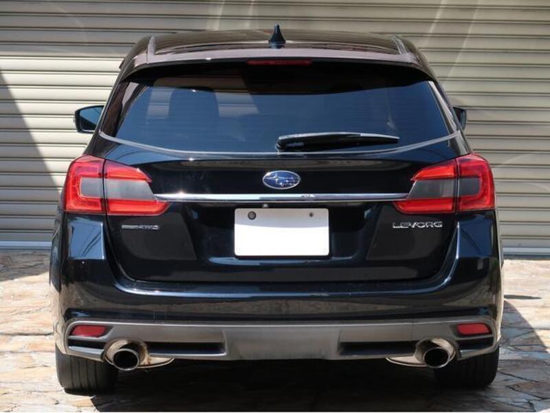 LEVORG