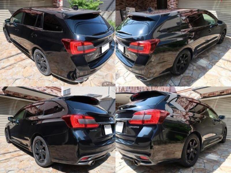 LEVORG