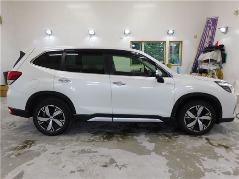 FORESTER