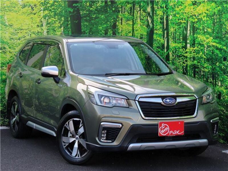 FORESTER