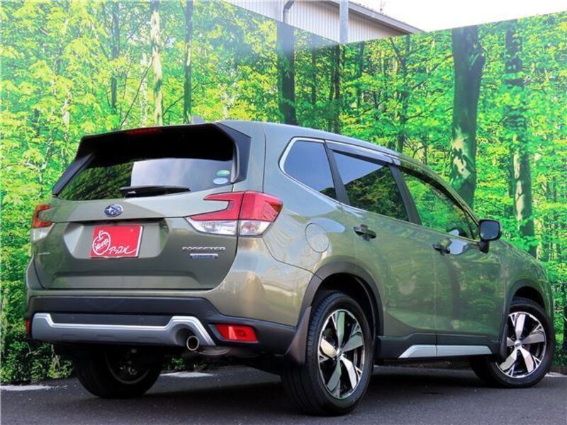 FORESTER