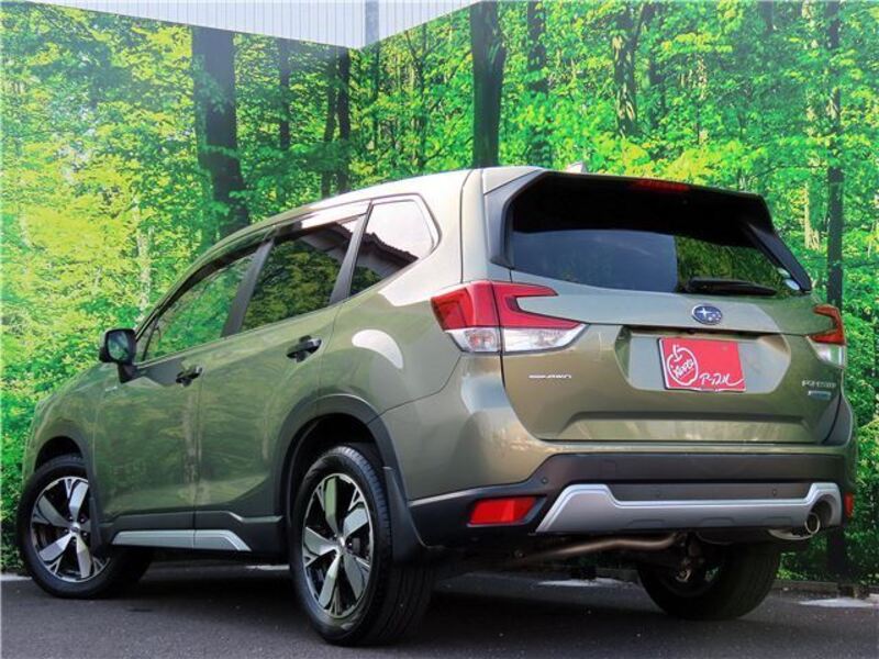 FORESTER