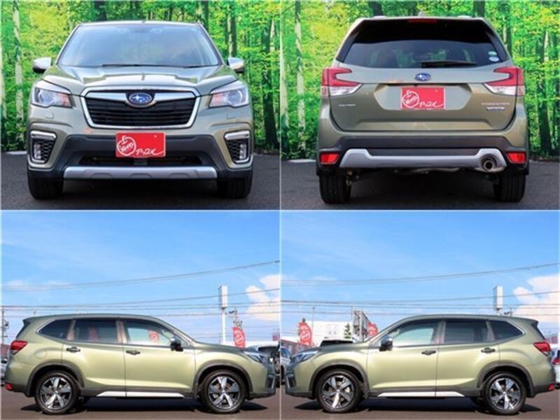 FORESTER