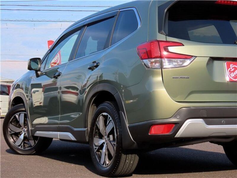 FORESTER