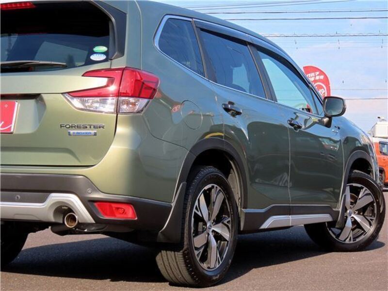 FORESTER