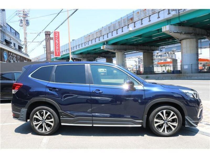 FORESTER