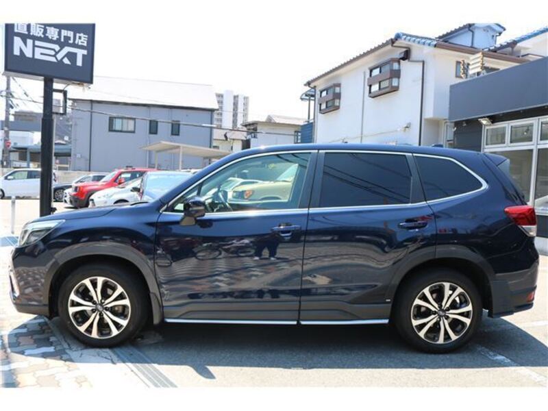 FORESTER