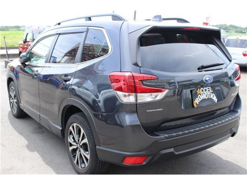 FORESTER