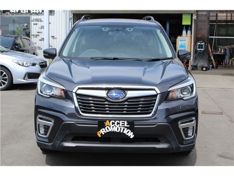 FORESTER