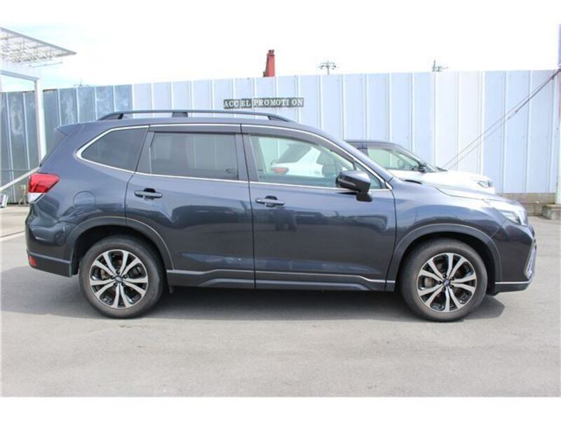 FORESTER