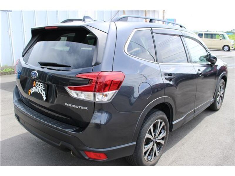 FORESTER