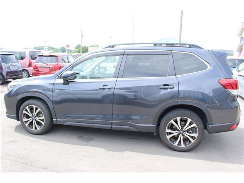 FORESTER