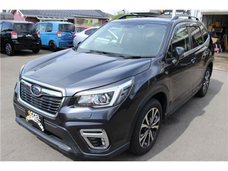 FORESTER