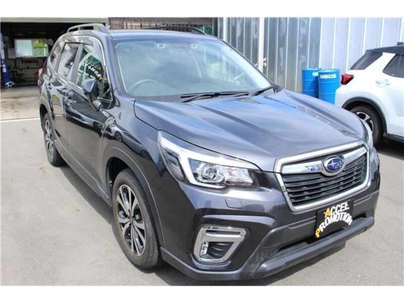 FORESTER