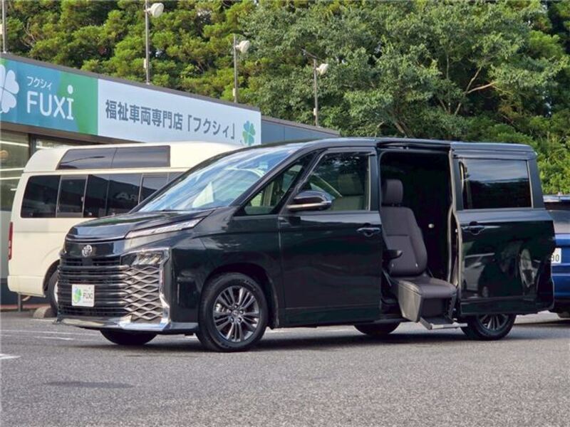 VOXY-0