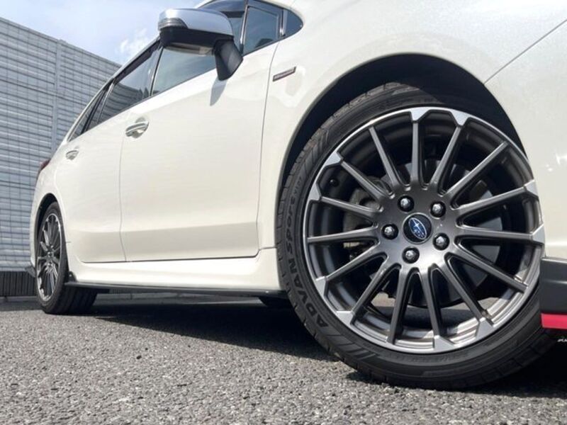 LEVORG