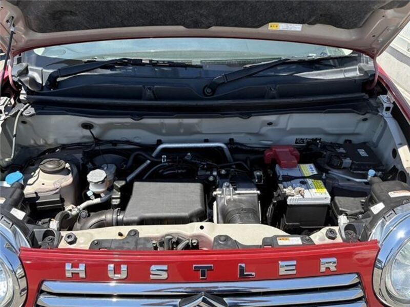 HUSTLER