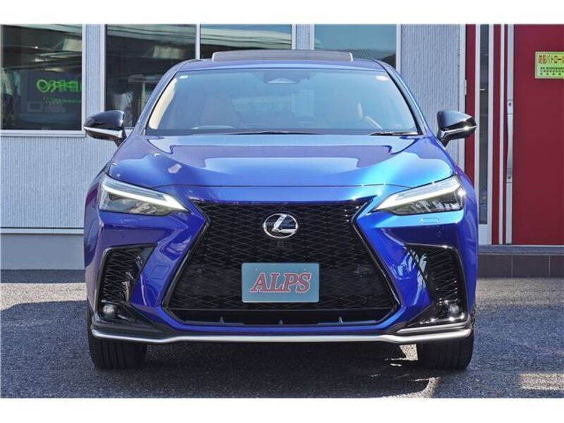 NX