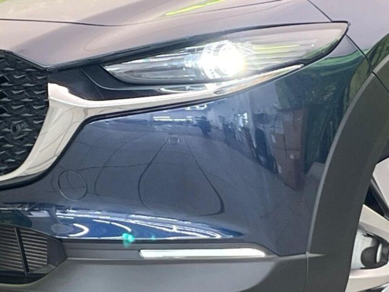 CX-30