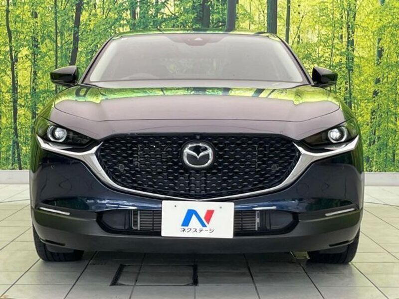 CX-30
