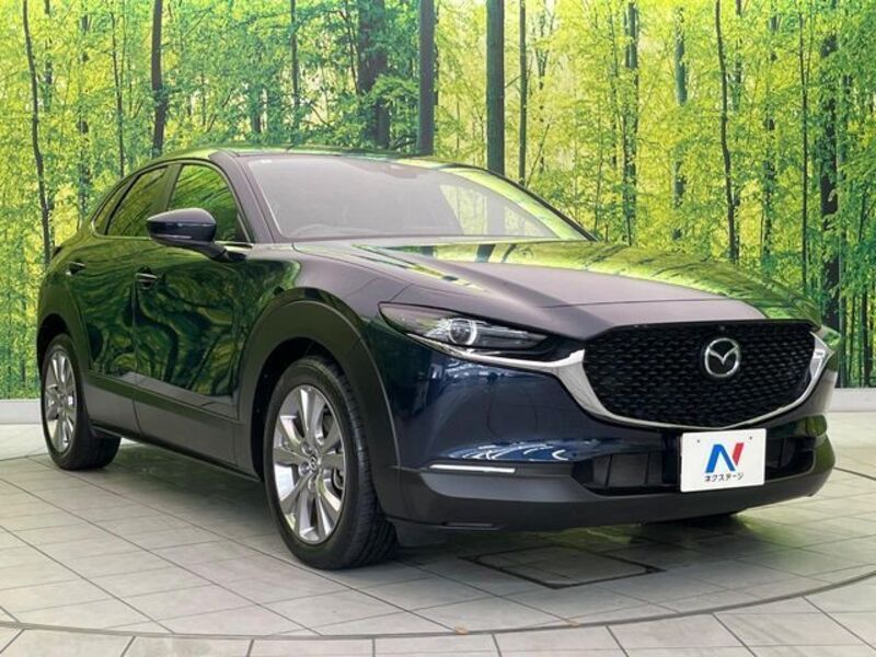 CX-30