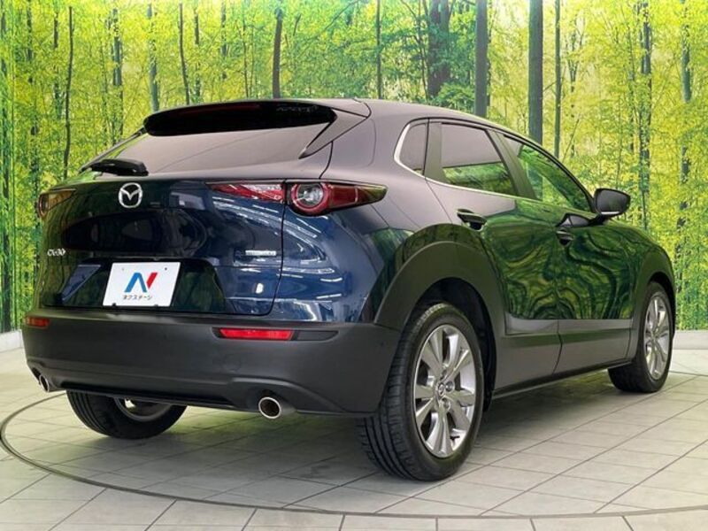 CX-30