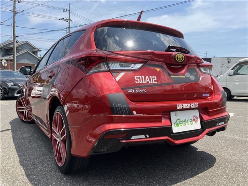 AURIS