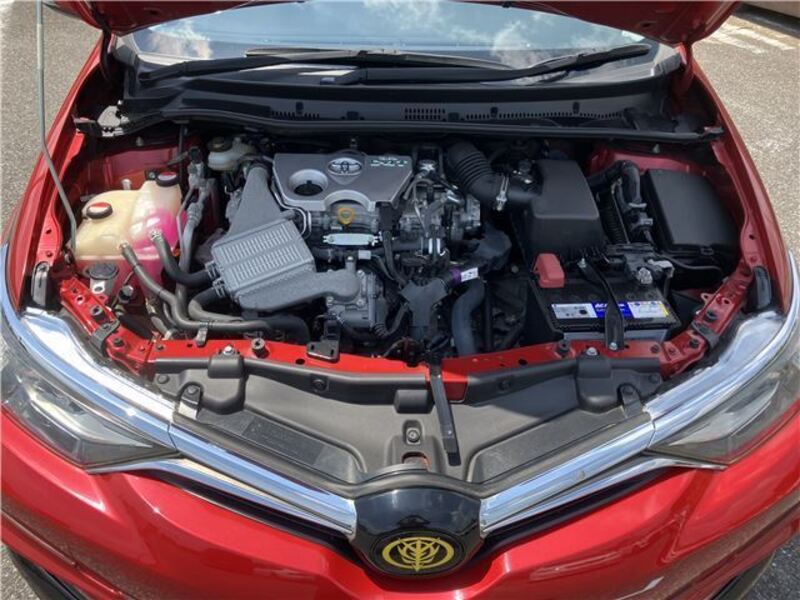 AURIS