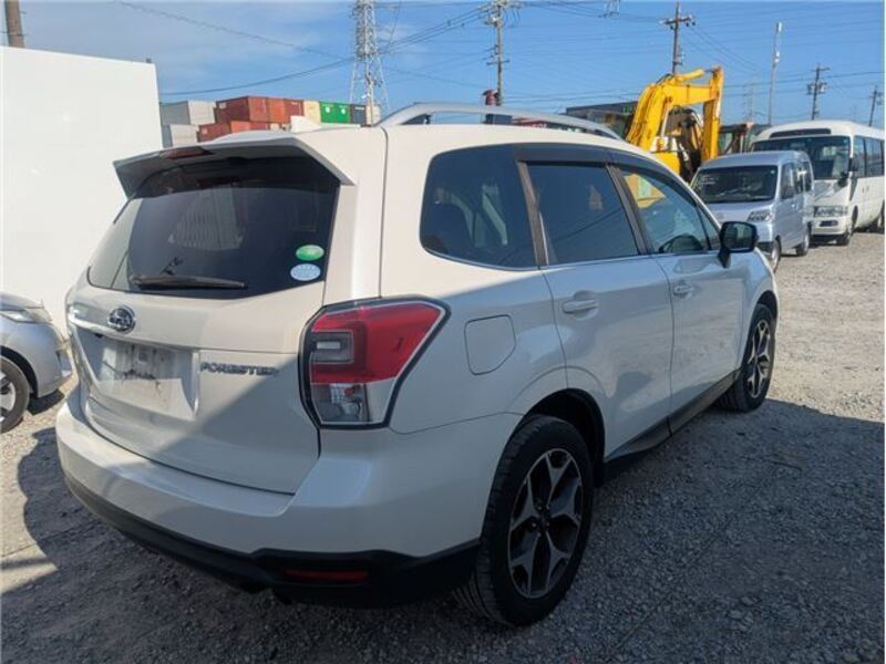 FORESTER