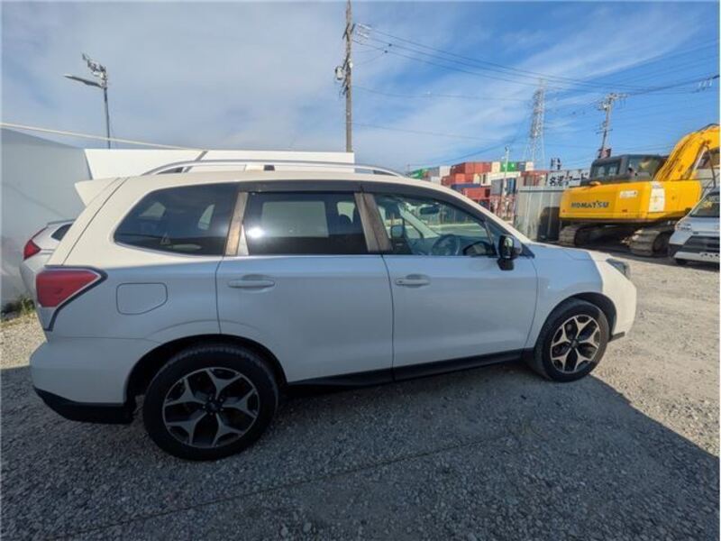 FORESTER